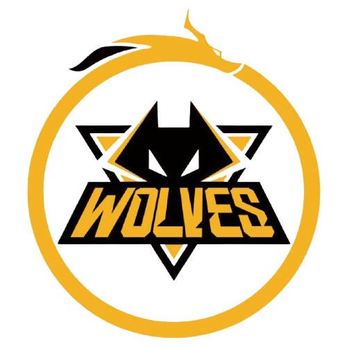 外观并重 外观并重